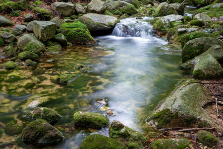 Mountain stream with stones with clear water.の写真素材