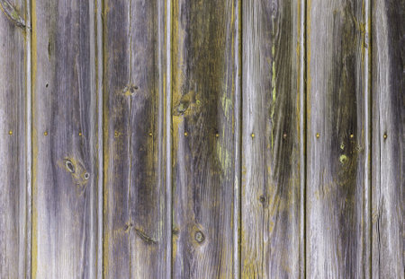The old wood texture with natural patterns.の写真素材