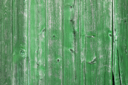 The old green wood texture with natural patterns.の写真素材