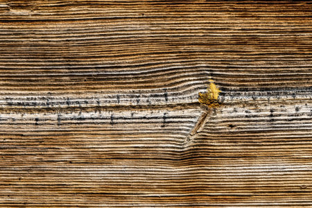 The old wood texture with natural patterns.の写真素材