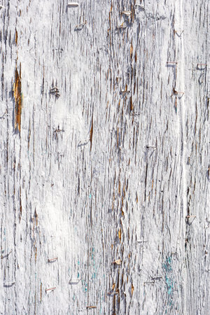 White wood texture with natural patterns backgroundの写真素材