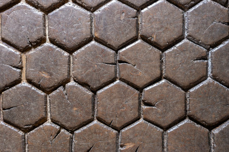 Pavement made of cut wood slicesの写真素材