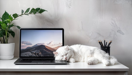 Freelance work concept. Freelancer working at home with laptop and catの素材