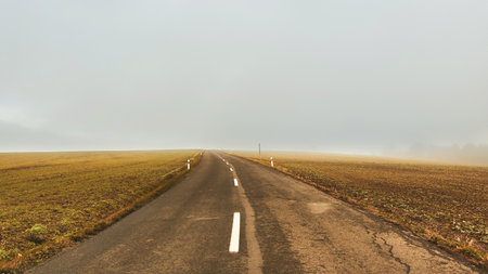 Road panorama on foggy autumn day outdoors, empty asphalt
