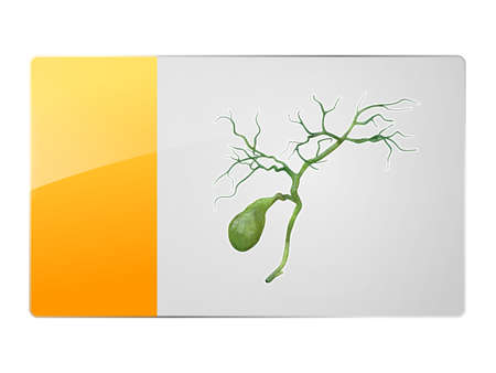 gallbladder symbol, button icon for web design, 3d and 2d graphic