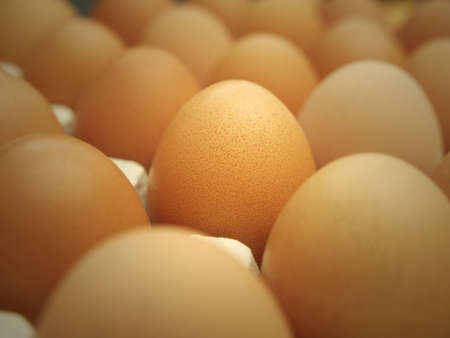 Slective focus of fresh chicken eggs on trays for sale at a supermarket ready to be picked up by a...