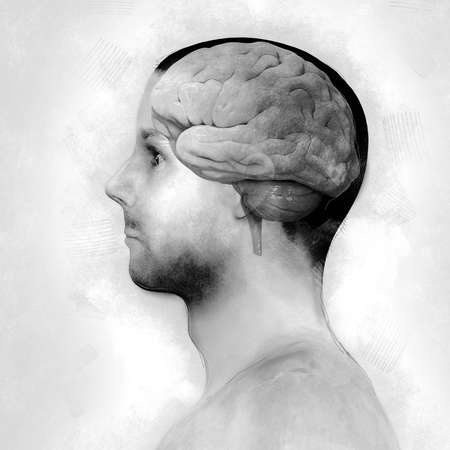 Male anatomy of human brain, Concept of human intelligence with human brain on white background, 3D render, 2d, illustrationの写真素材