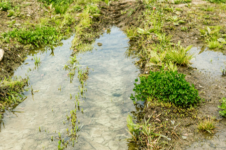 Shot to a countryside ground after rain with a pond formed after the rainの写真素材