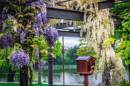 Shot to a flower ornamentation in a park near a lake and w mini house built to store booksの写真素材
