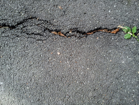 Background of a crack texture in rough asphaltの写真素材