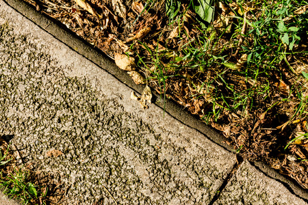 The Walk path in the park with green grass and leaves in autumnの写真素材