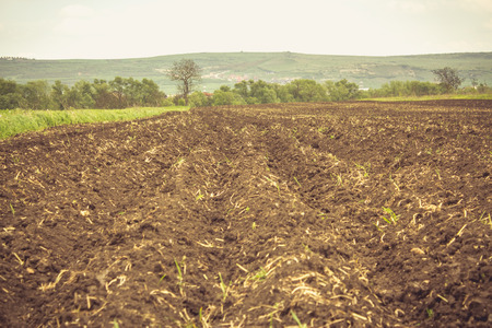 Vintage shot to a plowed land in the summerの写真素材