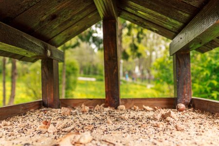 Shot made inside a birdhouse in a parkの写真素材