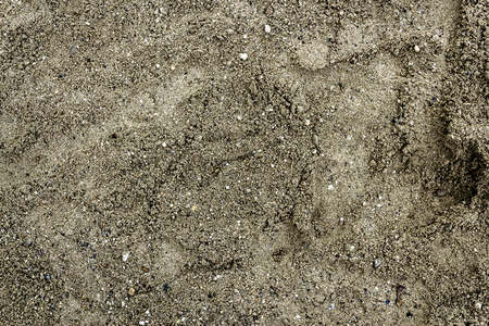 Sand textur shot in flat lay styleの写真素材