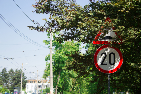 Shot to a couple of traffic signs hidden between the branches of a treeの写真素材