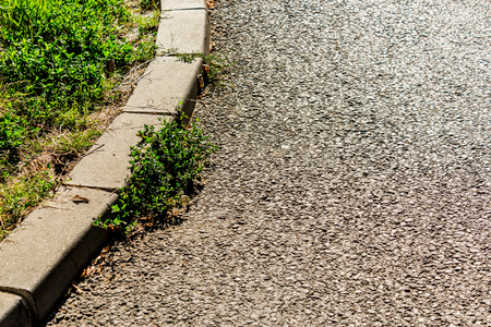 The Walk path in the park with green grass and leaves in autumnの写真素材