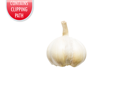 Garlic isolated on white with clipping or working pathの写真素材