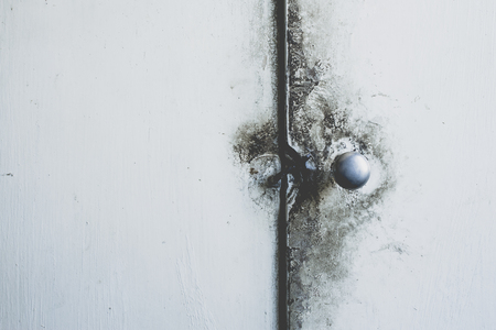 Old handle of a vintage kitchen pantry surrounded by mildewの写真素材
