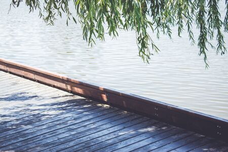 Willow leaves with a pontoon edge near waterの写真素材