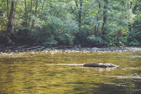 Crisul Repede river of Vadu Crisului in Bihor, Romaniaの写真素材