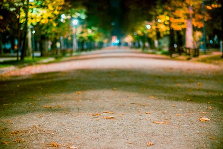Beautiful night scene of an alley in a public park with white light from street lampsの写真素材