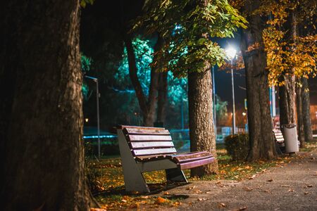 Romantic scene of a bench from a public park at night illuminated by street lanternの写真素材