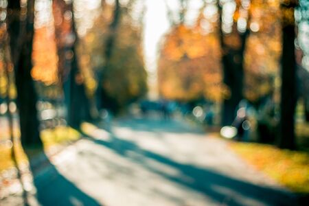 Blurred background on a path in a public park with trees and shadows. People walking on the alley. Orange and cyan color gradeの写真素材