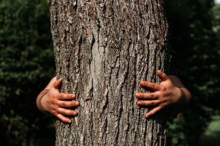 Persons hands hugging a bright brown tree trunk during a sunny day in spring with a green blurry background â Concept image for protect the forest, love for natureの写真素材