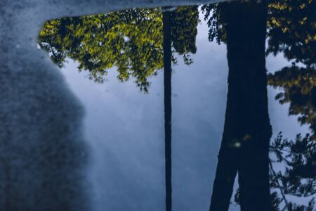 Puddle after the rain in the city with trees and leaves reflecting in it on a sunny spring day â Small pond in a hole on an urban tow sidewalkの写真素材