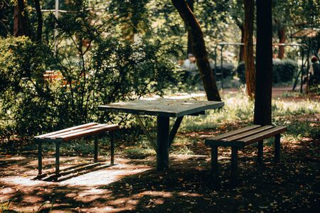 Wooden picnic benches and table in the park or forest surrounded by trees on a bright sunny day â Peaceful place in the nature for relaxation and leisureの写真素材