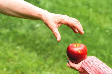 Mother taking a red juicy apple from daughter in nature â Young hand of a girl offering healthy fruit to senior womanの写真素材