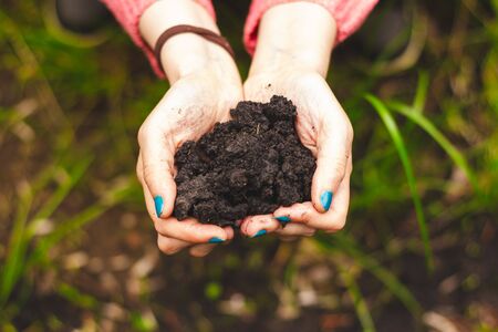 Hands holding dark and wet dirt on a green natural background â Young female farmer with fertile soil in the gardenの写真素材