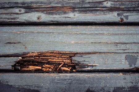 Dark wet wood with a splinter backgroundの写真素材