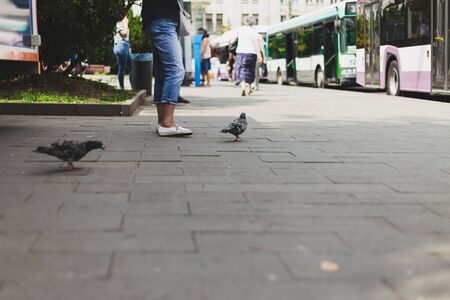 People waiting for the bus in the city on a summer day - Crowded public transportation stop with cars in backgroundの写真素材