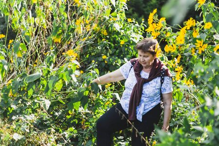 Senior traveling or hiking through wild plants outdoors - One old woman being on adventurous vacation in natureの写真素材
