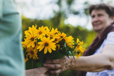 Person giving yellow flowers outdoors on a sunny day â Woman offering bouquet of wild blossoms in sign of appreciation â Beautiful natural and simple giftの写真素材