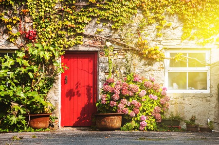 Facade of a house in Galway, Ireland. Sunlight through the window and red door. Plant on the wallの写真素材