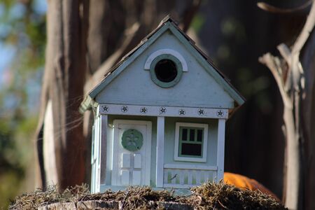 bird house