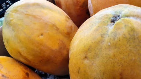 Papaya the misunderstood fruitの写真素材