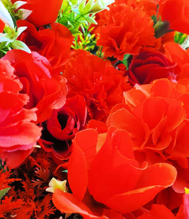 Flowers for decorations around the houseの写真素材