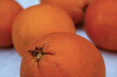 Fresh orange oranges on white background. Out of focus.の写真素材