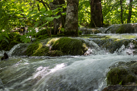 Small flowing lake in Plitvice with trees in summertime.の写真素材