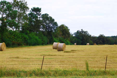 Hay bales in a field in the country behind a fence