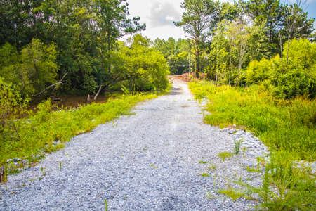A gravel paved road in the country in the spring with a green foliage landscape background