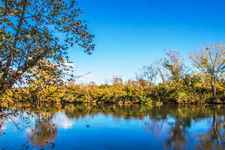 View of a river and Fall foliage in Augusta Ga