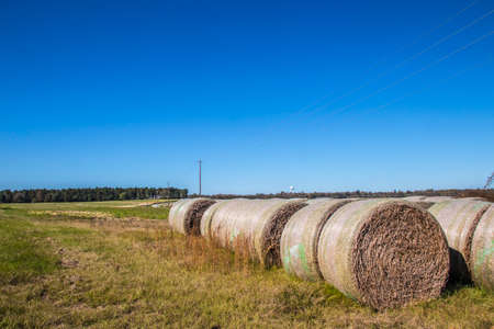 A row of hay bales and clear blue skies in the country Fall