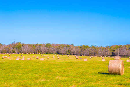 Rural farm with hay bales in south Georgia and blue skies