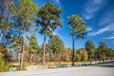 Rural country farmland with a white fence in the Georgia Fall on a sunny day