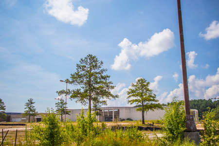 Augusta, Ga USA - 07 04 20: Abandoned Regency shopping Mall through trees and a poleのeditorial素材