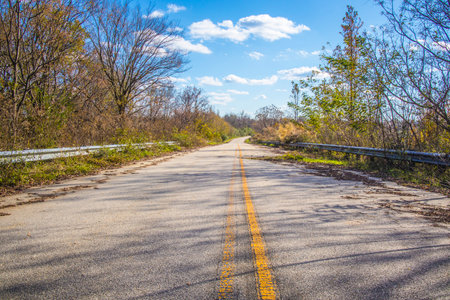 Overgrown road in the country with clouds and blue skies scene